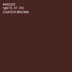 #492522 - Crater Brown Color Image